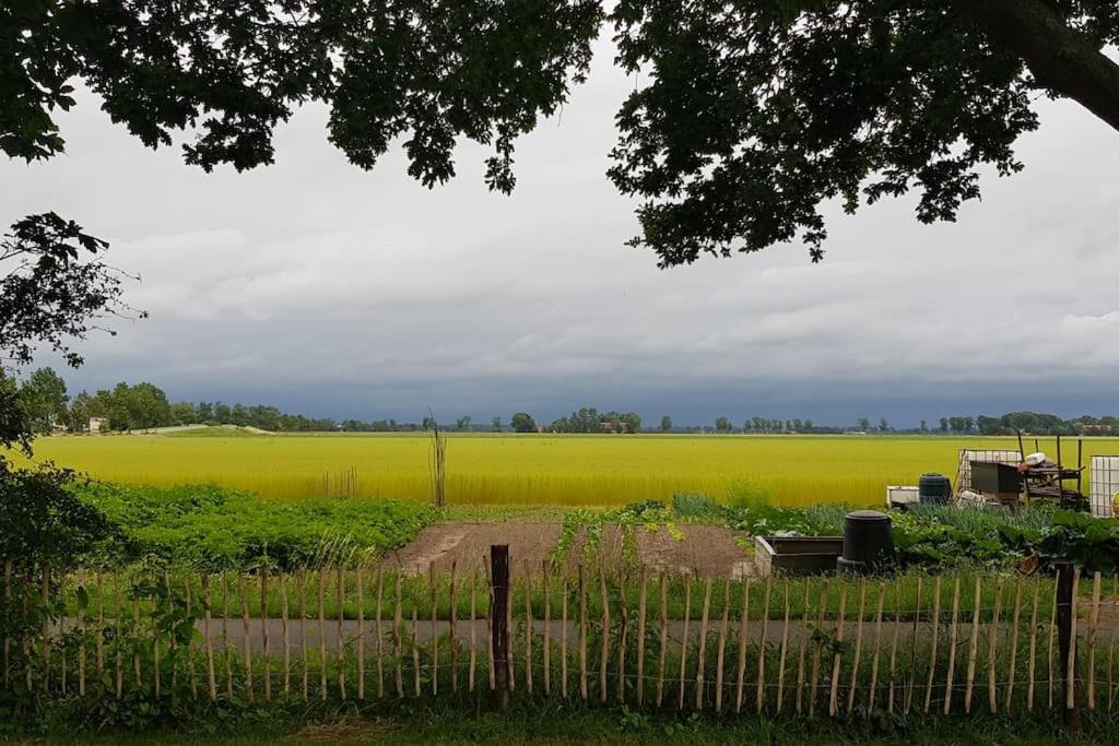 Huisje Fiederels Villa Bant Dış mekan fotoğraf