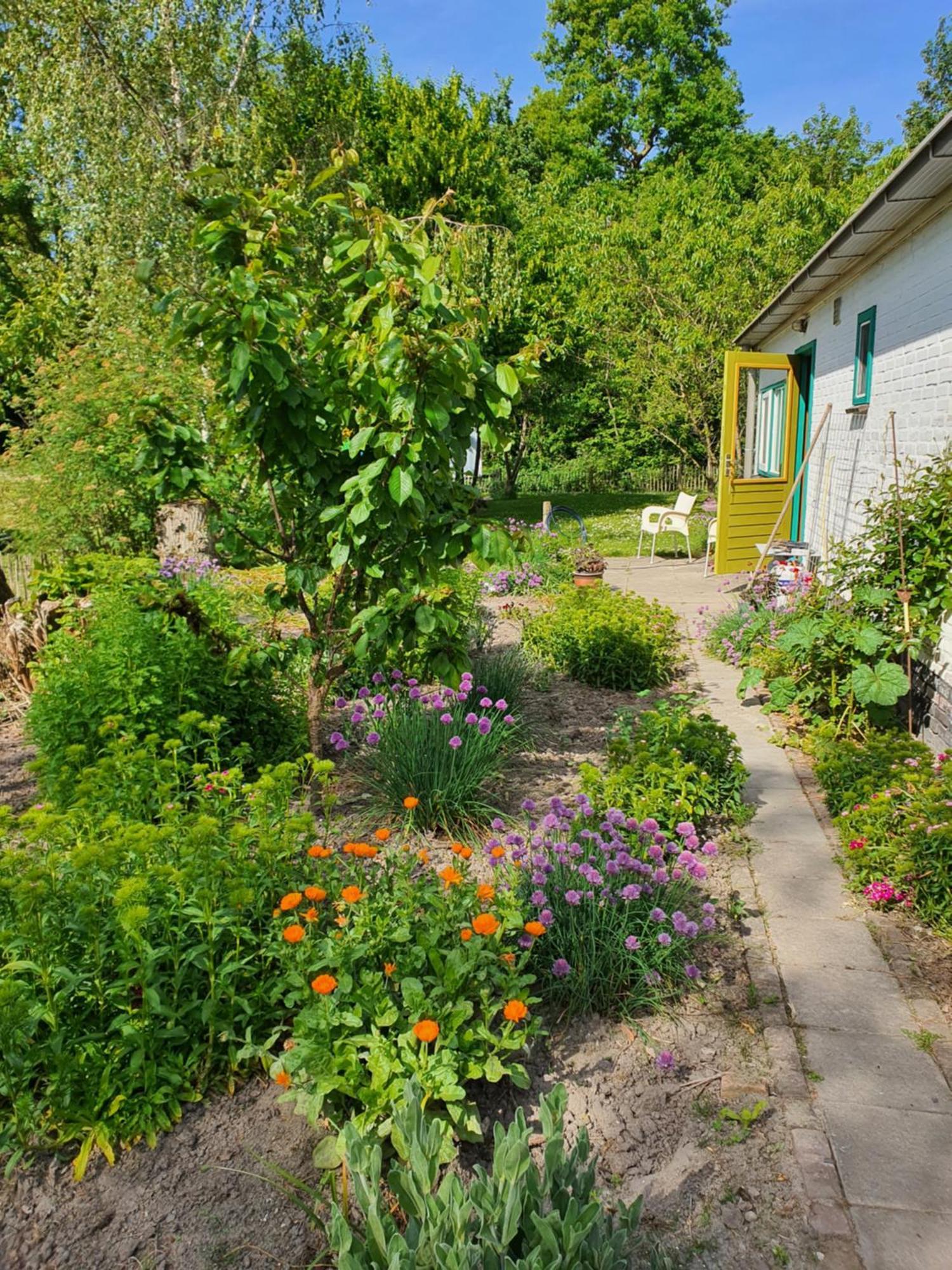 Huisje Fiederels Villa Bant Dış mekan fotoğraf