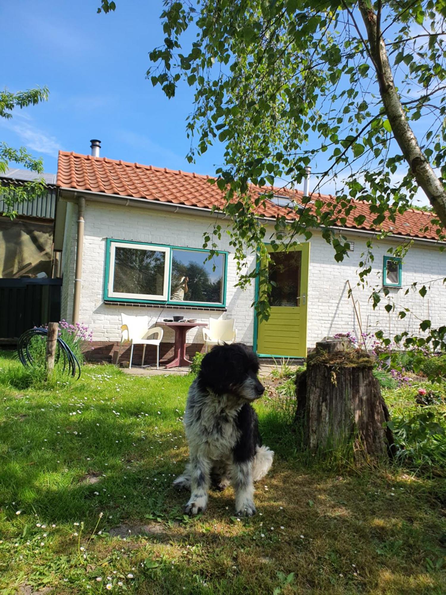 Huisje Fiederels Villa Bant Dış mekan fotoğraf